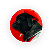 Rev About3.png