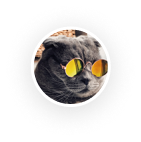 Rev About5.png