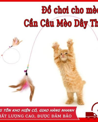 Cần câu mèo dây thép giá rẻ-3
