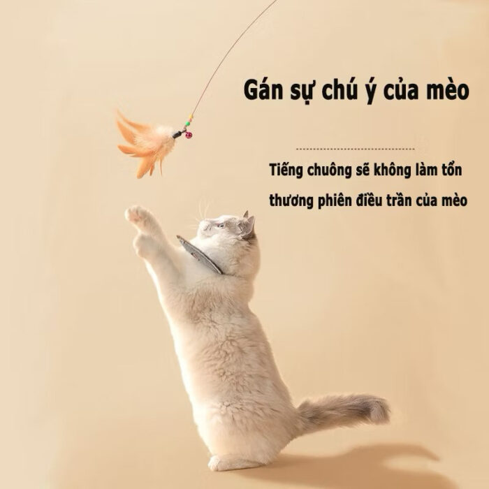 Lợi ích khi bé yêu sở hữu cần câu mèo