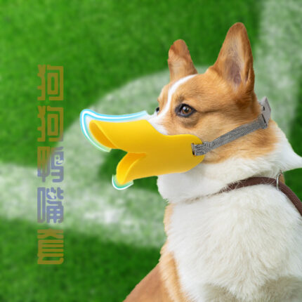 Đồ rọ mõm chó giá rẻ