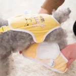 Lợi ích khi sử dụng băng vệ sinh cho chó cái