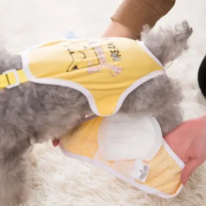 Lợi ích khi sử dụng băng vệ sinh cho chó cái Lợi ích khi sử dụng băng vệ sinh cho chó cái