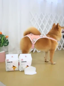 Ưu điểm nổi bật của băng vệ sinh cho chó cái Ưu điểm nổi bật của băng vệ sinh cho chó cái