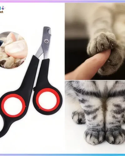 Kéo cắt móng cho mèo bền đẹp, giá rẻ