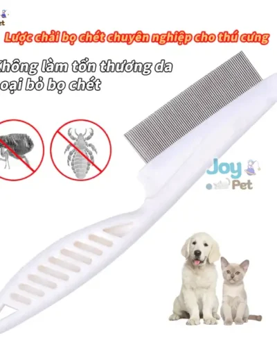 Lược chải rận mèo giá rẻ, bền đẹp