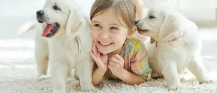 Cách chăm sóc chó mới mua về – Bí kíp cho “sen” lần đầu nuôi boss