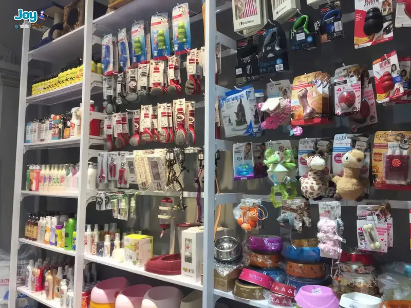  Lolipet - Shop phụ kiện thú cưng Hà Nội phù hợp với sinh viên