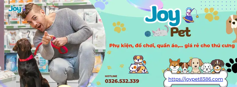 Top 5 shop phụ kiện thú cưng Hà Nội uy tín – Sen không thể bỏ qua