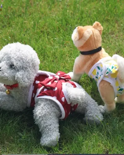 Quần lót cho chó cái giá rẻ, mẫu mã đẹp