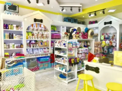 Gợi ý địa chỉ mua phụ kiện thú cưng Hải Phòng uy tín, giá hợp lý