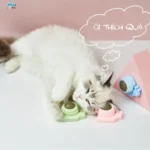 Vì sao nên chọn cỏ mèo gắn tường?