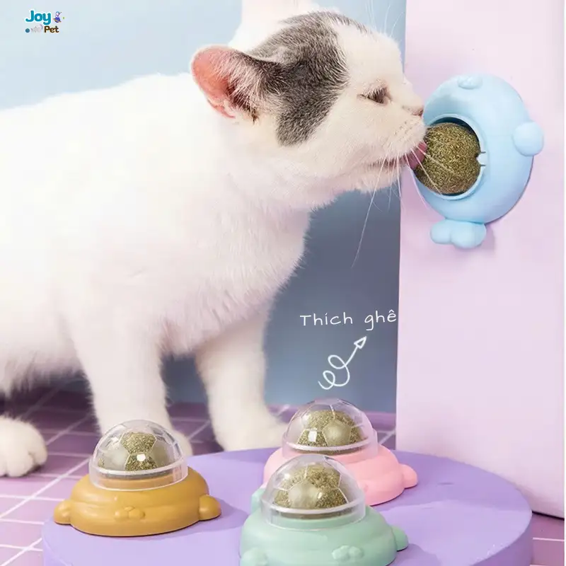 Cách sử dụng cỏ mèo gắn tường hiệu quả nhất Cách sử dụng cỏ mèo gắn tường hiệu quả nhất