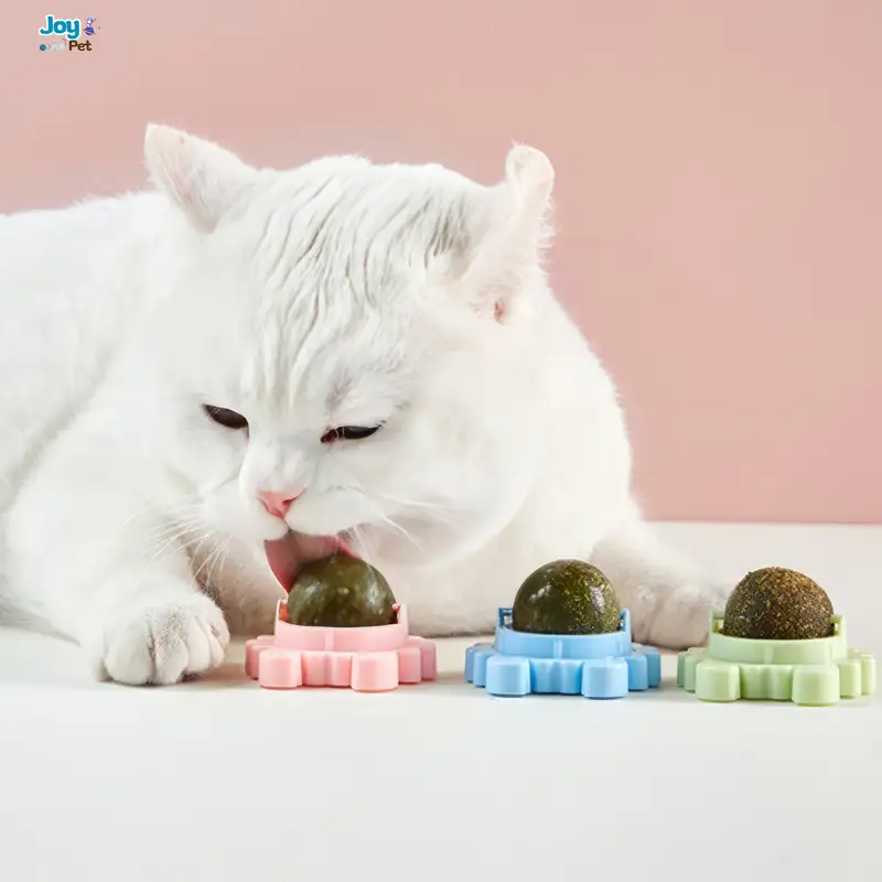 Lợi ích của cỏ mèo catnip gắn tường đối với mèo Lợi ích của cỏ mèo catnip gắn tường đối với mèo