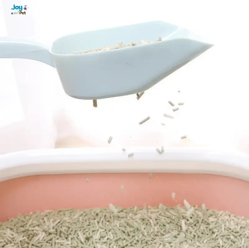 Cách sử dụng và bảo quản xẻng xúc cát mèo nhựa Cách sử dụng và bảo quản xẻng xúc cát mèo nhựa