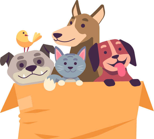 Home N1 Footer 1.png