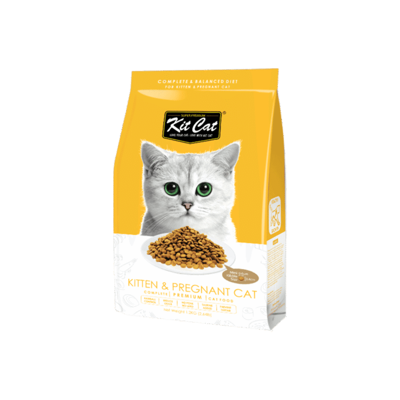 Cat food for kitten